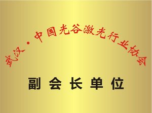 中國光穀激光行業協會副會長單位